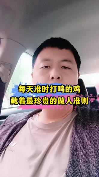 #真实生活分享计划 :每天准时打鸣的鸡,藏着最珍贵的做人准则 #守信做人 #传统民俗 #自律人生