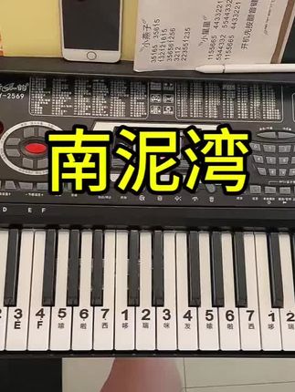 #电子琴入门  新韵XY-2569电子琴成人儿童通用 #强烈推荐