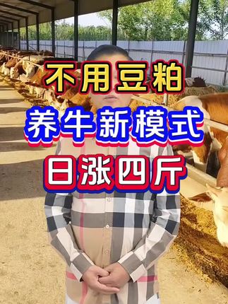 #养牛人 #养牛技术 #牛拉稀过料粪便不成型 #犊牛拉稀 #养牛