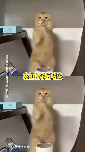 老一辈的经验和智慧真不是盖的 #大学生 #宿舍 #万万没想到 #娱乐评论大赏