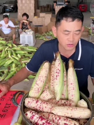 花糯玉米当季新鲜带皮当天现摘甜糯代餐精品苞米原产地#玉米#花糯玉米#甜糯玉米