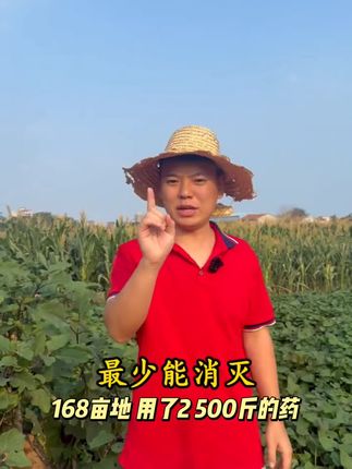 兆如丰氯虫苯甲酰胺撒施颗粒地上地下一撒净家用卫生杀虫剂#好用#爆款#热门