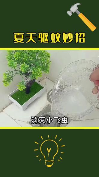 活了30年才知道夏天是这么驱蚊的,不学保证你后悔 #生活小妙招 #防蚊必备 #生活小技巧 #夏季必备 #灭蚊虫小妙招
