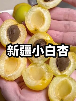 新疆小白杏,一年只吃这一季,别看它小,却比普通的杏子好吃太多,果香味浓郁,汁水充足,没有尝过的一定要试试!#新疆小白杏 #新鲜采摘 #这也太好吃了