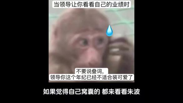 朱波职场历险记#朱波精神状态良好 #朱波 #朱波已疯系列