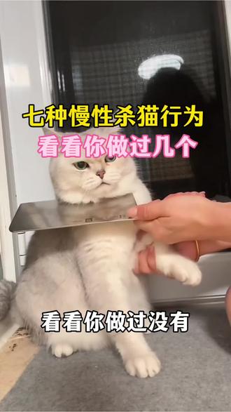七种慢性杀猫行为,看看你做过几个!#猫#猫咪#新手养猫 #养猫人#猫咪日常