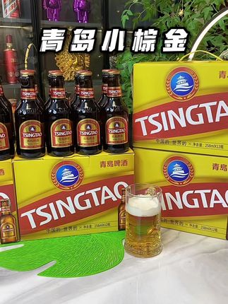 #青岛啤酒 #青岛小棕金啤酒 #好喝不贵 #送礼佳品