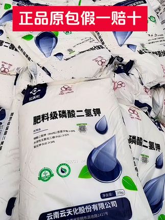 #云天化磷酸二氢钾 #粗壮茎杆抗倒伏 #保花保果 #增甜上色 提高品质#农资肥料