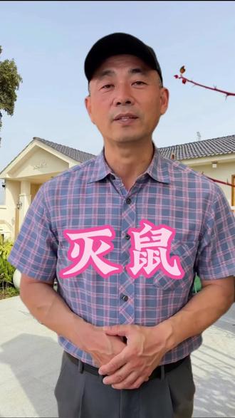 一把食盐,轻松驱鼠