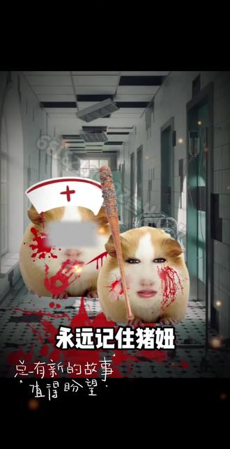 猪妞想保护你一辈子#嘉豪#猪妞 #二次元 #上热门 #搞笑