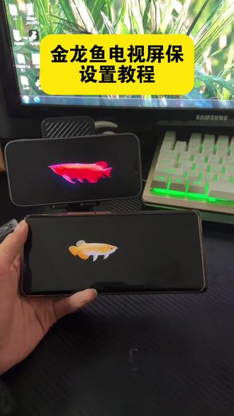 《开朗宝库》 金龙鱼电视屏保设置教程来了,电视养鱼教程,金龙鱼动态壁纸下载,电视机屏保龙鱼教程,金龙鱼电视屏保设置方法,电视金龙鱼屏保去哪里下载设置,#电视养鱼教程 #电视屏保 #电视屏保设置 #金龙鱼屏保怎么设置 #金龙鱼屏保怎么下载