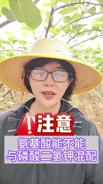 #拜耳德来周#德来氨基酸镁#安必腾好吸收起效快#安必果好吸收起效快#拜耳西北助丰收