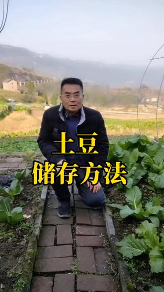 土豆储存方法@抖音小助手 #有机蔬菜 #新农人计划 #分享生活小技巧