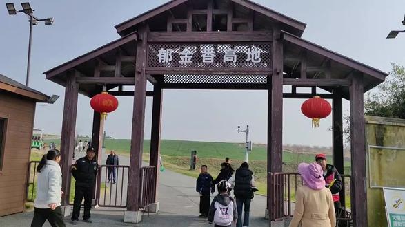 3月22日巢湖半汤郁金香高地现场实拍#郁金香花开了 #现场直击 治理#记录旅游摄影足迹