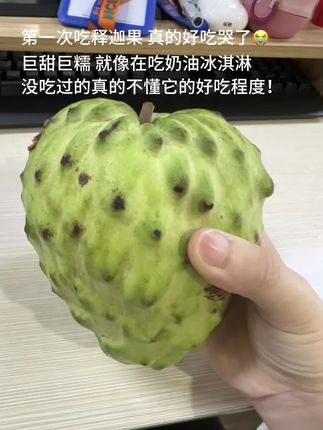 第一次吃释迦果真的惊艳我了!清新的果香,果肉嫩白,甜蜜多汁!入口冰激凌般丝滑细腻!堪称水果界“冰激淋”,真的巨好吃!没吃过的家人一定要尝尝#释迦果#口感特别好#新鲜应季水果#谁懂这一口的好吃程度#大人小孩都爱吃