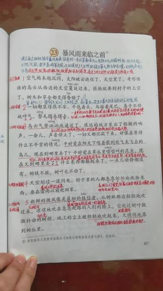 三年级语文下册课文《暴风雨来临之前》视频讲解完整版。成人课堂。春季新教材,改版后最新版。#预习#复习#教师#小学语文#小学语文知识点