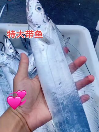 #特大带鱼#舌尖上的美食 #送礼佳品 #大人孩子都爱吃 #dou+小助手上热门