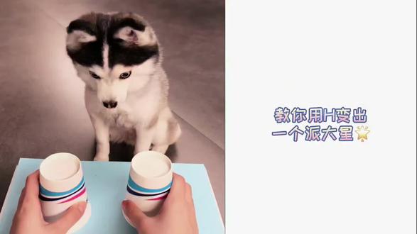 简单画派大星#上热门 #萌宠 #简笔画#派大星