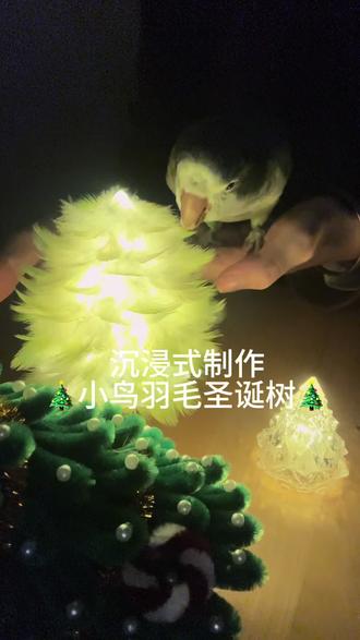 小鸟羽毛圣诞树教程~制作过程来咯!其实非常简单!祝大家圣诞节快乐🎄#手工diy #圣诞树 #和尚鹦鹉 #鸟鸟教 #鹦鹉