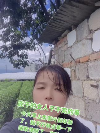看看茶叶也这么多真的干不完的事