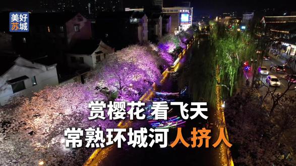 常熟樱花即将全面爆发,今晚(28日)东街口上将有两场表演