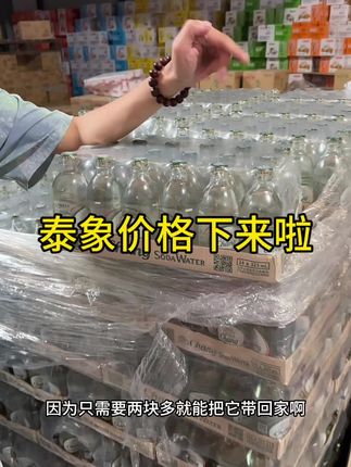 #泰象#进口#泰国#气泡水#批发