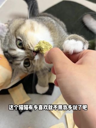 兜喜它猫草薄荷饼限时买一送一,我家四只猫抢着吃#萌宠好物 #猫草冻干 #养猫好物 #新手养猫