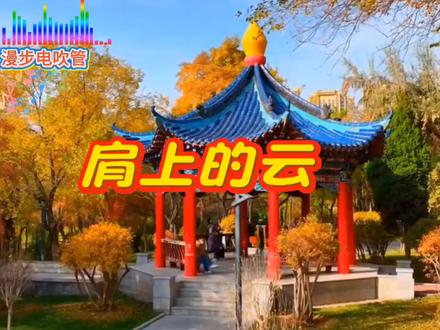 漫步电吹管《肩上的云》