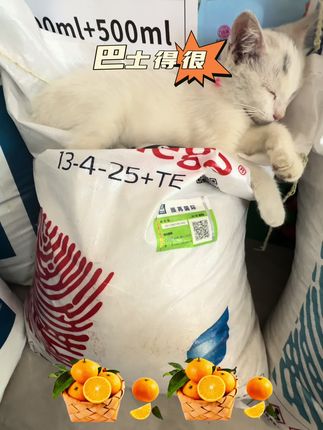 雅冉瑞佳复合肥,效果显著,值得信赖!👍 #雅冉瑞佳 #宠物猫可爱 #春满园农业科栩