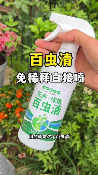 这就是杀虫神器 #月季 长出这样的小嫩芽小花苞,就要开始做#病虫害防治 了#防虫小妙招 #月季养护 #爱生活爱养花