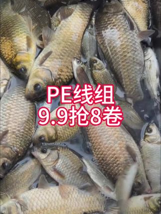 8卷PE加固鱼线,#钓鱼线组 #鱼线主线推荐 #渔具 #钓鱼的乐趣只有钓鱼人懂 #无限回购的宝藏单品