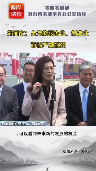 郑丽文:台湾的服务业、制造业面临严重瓶颈 #台海时刻