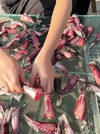 风干鱼尾 这个监利太阳晒干的鱼尾,色泽艳丽,不咸不淡,口感适中,下酒好菜#风干鱼尾 #鱼尾巴 #美食推荐 #下酒必备