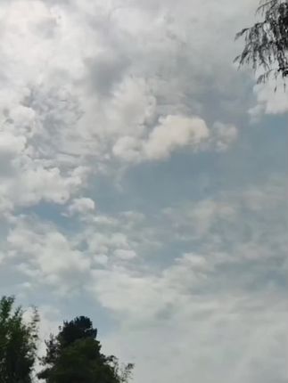 统一回复,谢谢家人们不离不弃的支持和陪伴,我就不一一回复了,家人们的作品我会回仿的,如有回仿不到的请谅解,祝大家身体健康万事如意,周末愉快