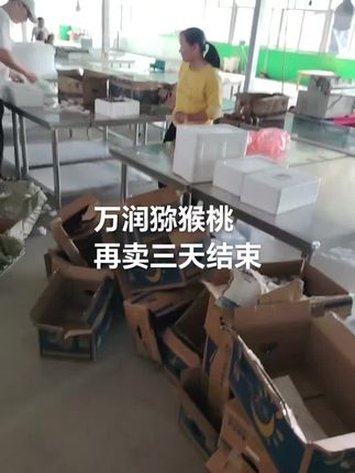 万润猕猴桃,非常感谢大家的支持,我们的大果猕猴桃再卖三天,即将结束,有需要的赶紧下单了,我们采摘的是95成熟,甜度高达19+,快递到家即可食用。口感杠杠的! 全国京东包邮送货上门。#日常分享 #vlog日常