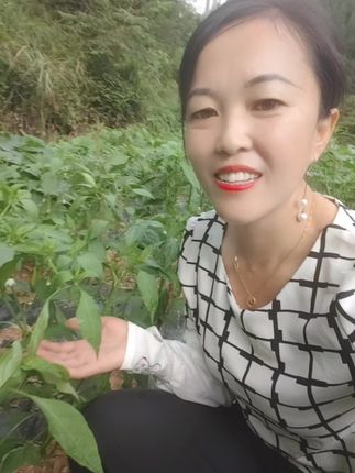 我出辣椒🌶️,你出肉打平伙不……😊😊😊