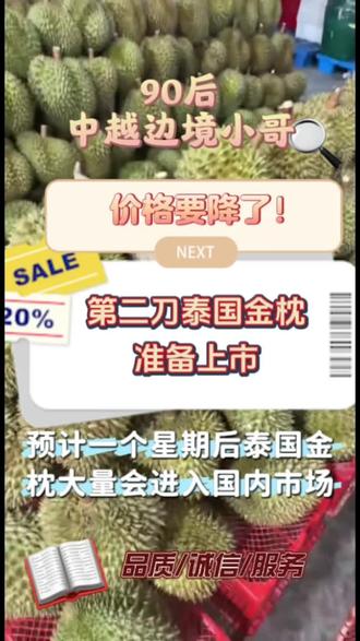 泰国雨季过后,第二批榴莲准备大量上市#进口榴莲 #泰国金枕 #越南榴莲