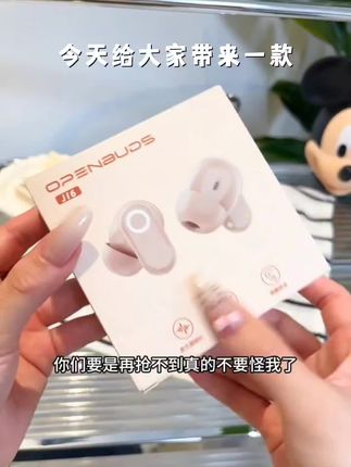 【柏林之音】2025款降噪真无线蓝牙耳机运动舒适降噪高音质超长续航