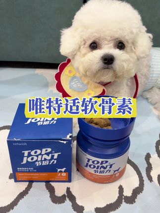 养狗老手都知道,别的都可以不喂,软骨素越早吃越好#萌宠好物 #唯特适#唯特适软骨素 #狗狗软骨素 #科学养宠攻略