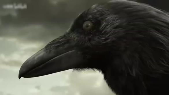 渡鸦CG#三角洲#渡鸦#潮汐监狱#配音