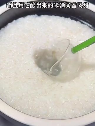 有手就会做的家庭版醪糟糯米酒,一天吃一大碗!!!#好物推荐🔥 #美食 #好货推荐