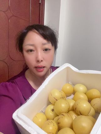 正宗云南石林人参果香甜多汁新鲜釆摘#太好吃了 #新鲜采摘 #应季水果 #石林人参果 #香甜多汁