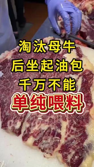 养牛人一定要知道这个好东西#养牛#母牛#淘汰母牛#养牛人#养牛技术