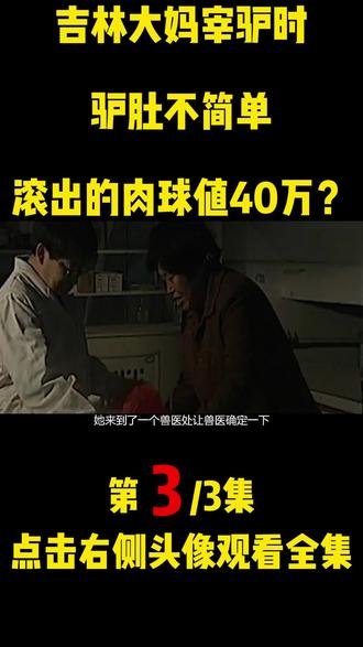 吉林大妈宰驴卖肉,因其驴肚子里有宝贝,竟引来盗贼入室抢劫! #马宝 #驴肉火锅 #奇闻异事