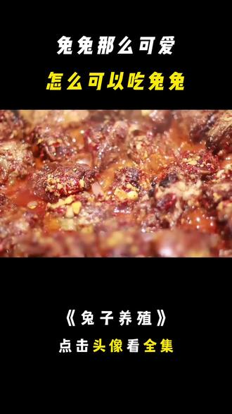 兔兔那么可爱,怎么可以吃兔兔,你最爱吃的兔子是从哪里来的? #科普 #纪录片 #动物 #兔子 #兔肉