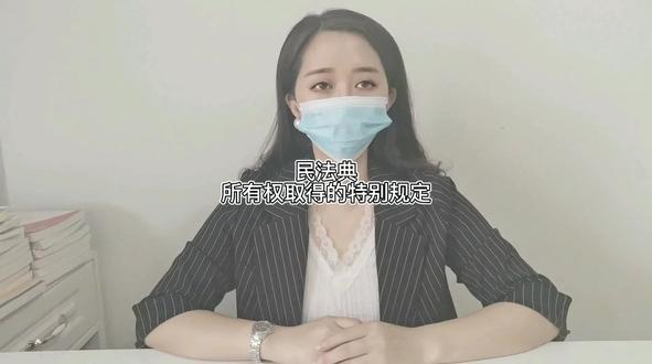 民法典所有权取得的特别规定