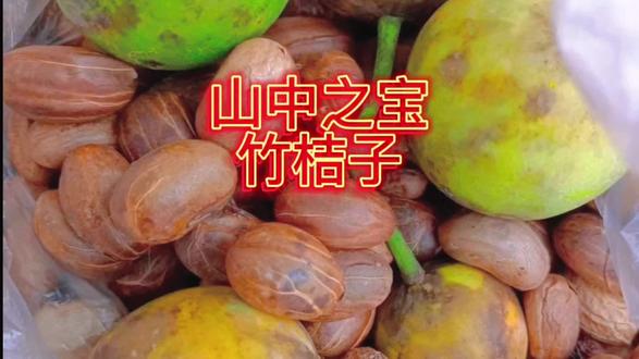 野生竹桔子,全身都是宝,不信?你瞧瞧