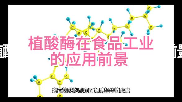 植酸酶在食品工业的应用前景