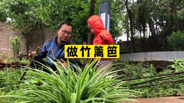 在村子里发现一种黑色竹子,美观又坚固,用来做篱笆再好不过了 #我的乡村生活 #花园改造 #乡村守护人