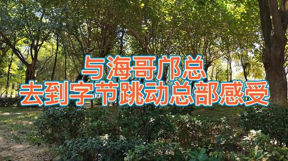 二哥逆袭记,不让100V二哥去,聊与海哥邝总同行字节跳动总部感受#海哥量地球 #邝总